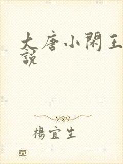 大唐小闲王 小说封面