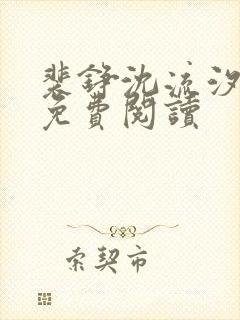 裴铮沈流汐全文免费阅读封面