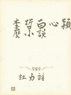 李哲白心颖是什么小说封面