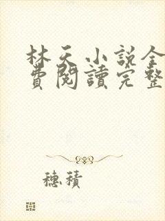 林天小说全文免费阅读完整