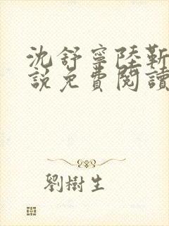 沈舒宁陆靳桥小说免费阅读最新章节封面