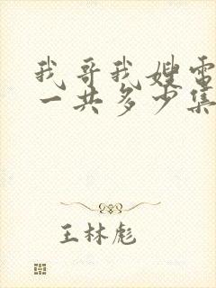 我哥我嫂电视剧一共多少集