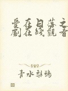 爱在日落之前网剧在线观看