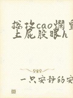 总攻cao烂皇上屁股眼h