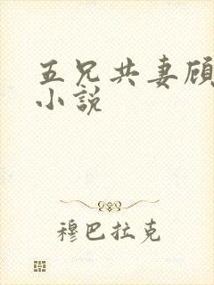 五兄共妻顾心儿小说