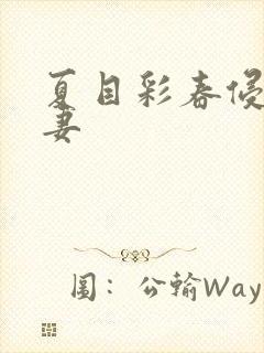 夏目彩春侵犯人妻