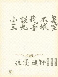 小说我不是戏神三九音域完结封面