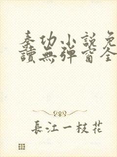 秦功小说免费阅读无弹窗全文