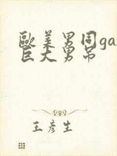 欧美男同gay巨大男吊