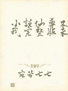 小说仙尊又在撩我完整版未删减小说