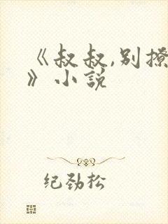 《叔叔,别撩我》小说