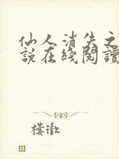 仙人消失之后小说在线阅读