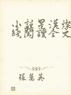 小说星汉灿烂在线阅读全文