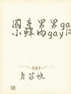 国产男男gay小鲜肉gay网站亚洲