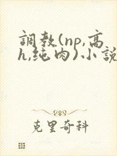 调教(np,高h,纯肉)小说封面