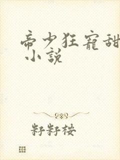 帝少狂宠甜蜜妻 小说