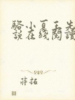 骆小夏王先生小说在线阅读