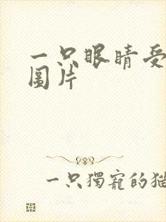 一只眼睛受伤的图片封面