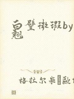 白璧微瑕by连翘