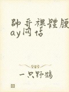 帅哥裸体腹肌gay网站封面