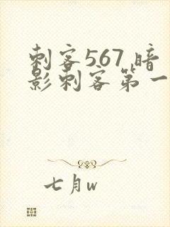 刺客567 暗影刺客第一季封面