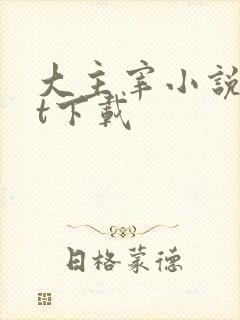 大主宰小说txt下载