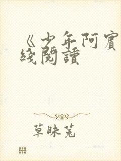 《少年阿宾》在线阅读