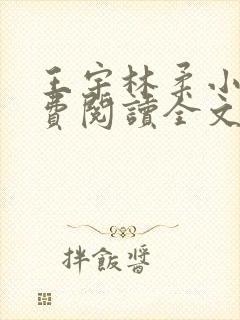 王宇林柔小说免费阅读全文最新章节