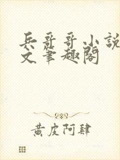 兵哥哥小说高干文笔趣阁