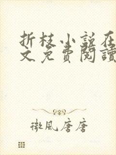 折枝小说在线全文免费阅读无弹窗