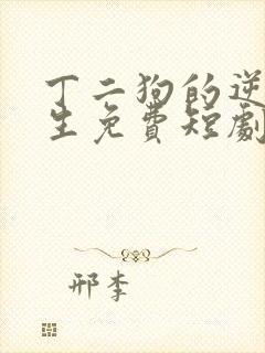 丁二狗的逆袭人生免费短剧