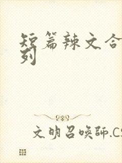 短篇辣文合集系列封面