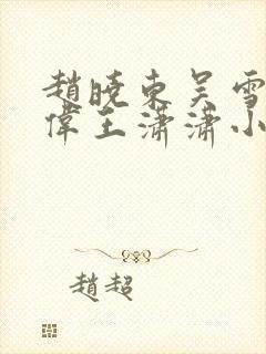 赵晓东吴雪晴郑伟王潇潇小说