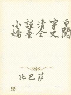 小说清穿皇妃要娇养全文阅读封面