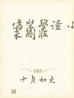 伪装学渣 小说未删版