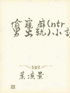 偷窥癖(ntr男出轨)小说