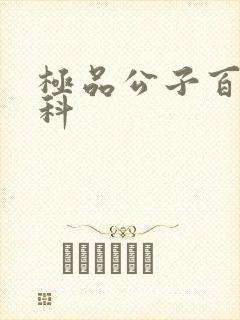 极品公子百度百科封面