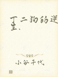 丁二狗的逆袭人生.封面