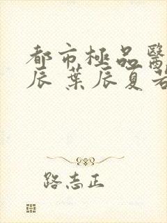 都市极品医神叶辰 叶辰夏若雪封面