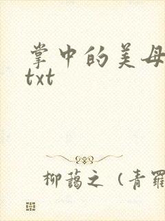 掌中的美母版主txt封面