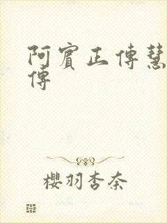 阿宾正传慧钰外传封面