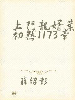 上门龙婿叶辰萧初然1173章封面