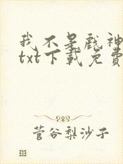 我不是戏神小说txt下载免费封面