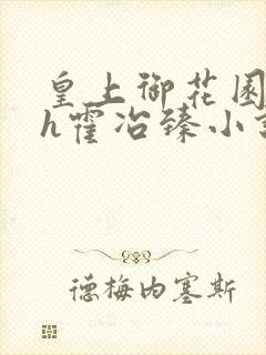 皇上御花园hlh霍冶臻小说封面