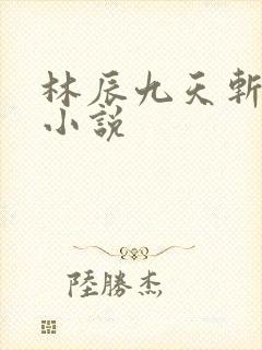 林辰九天斩神诀小说