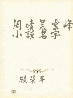 周晴吴云峰李磊小说名字