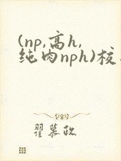 (np,高h,纯肉nph)校园