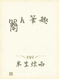 np h 笔趣阁封面