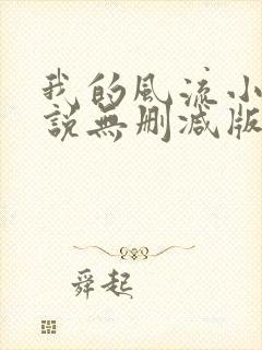我的风流小姨小说无删减版