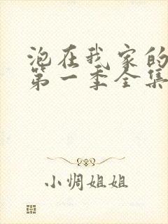 泡在我家的辣妹第一季全集播放封面